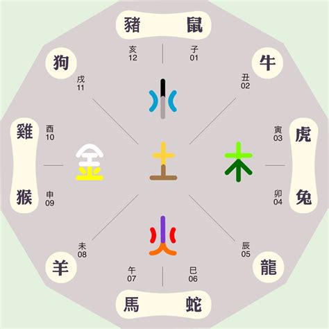 12 地支|地支